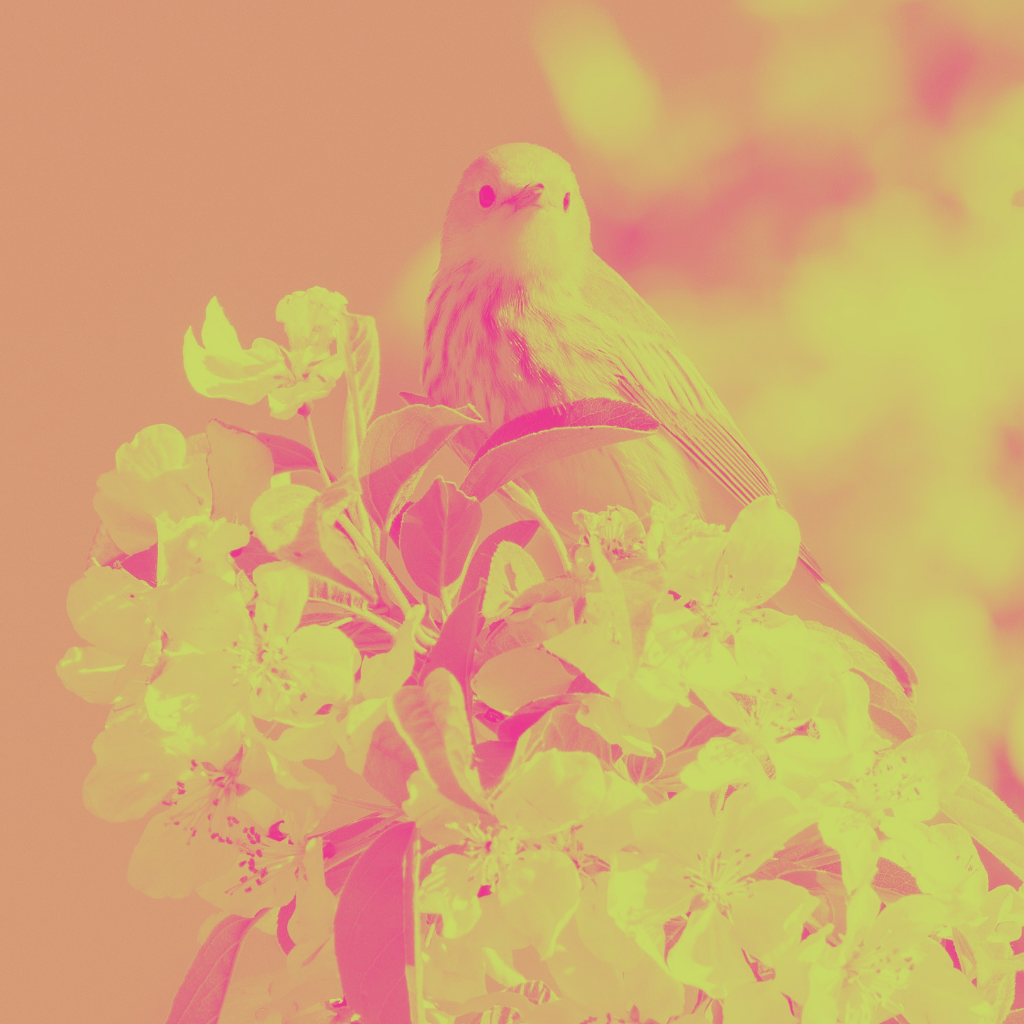 image of a bird in a cherry tree
